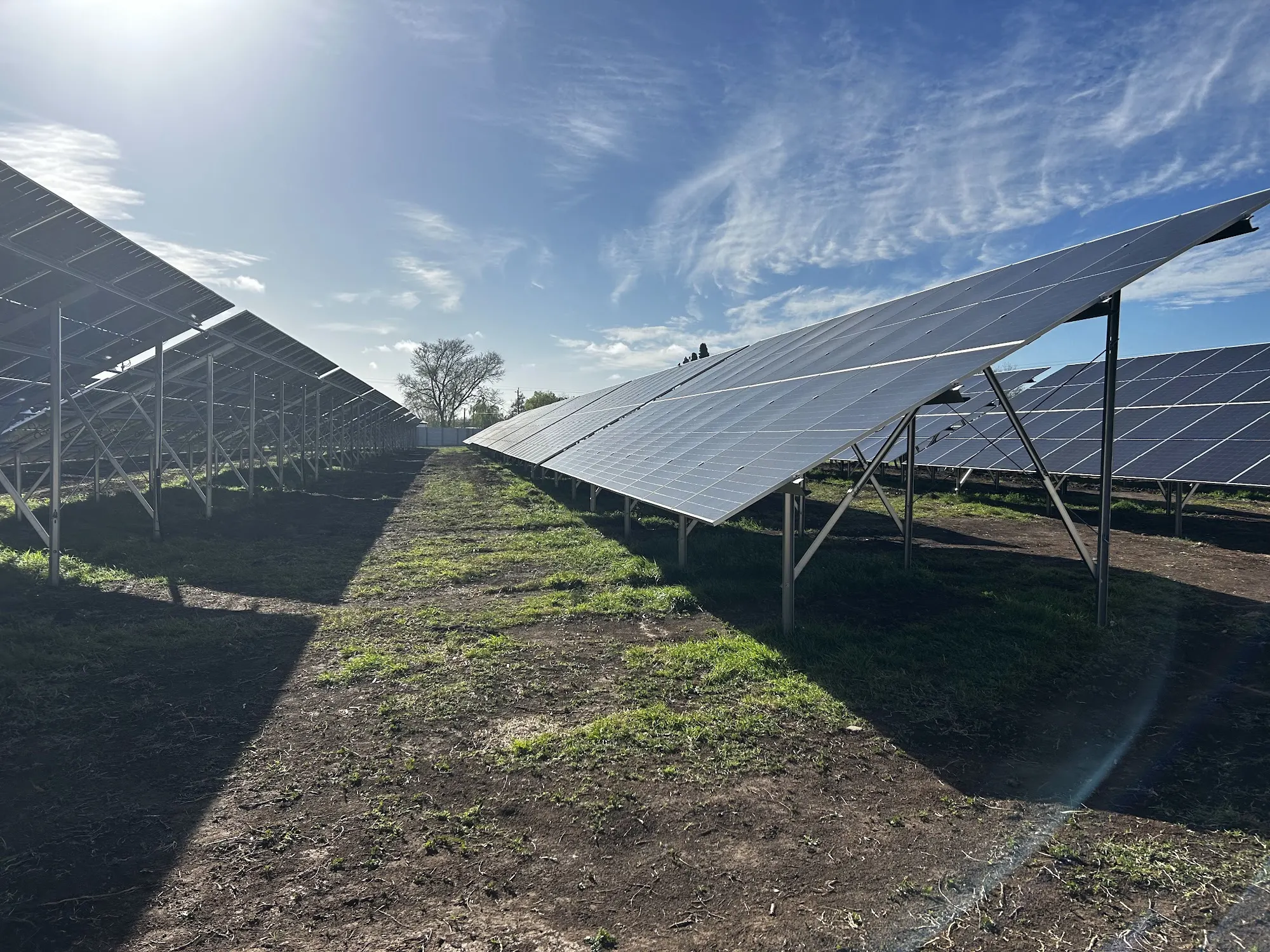 Filas de paneles de la planta solar del Frigorífico El Mercedino, en Mercedes, provincia de Buenos Aires.